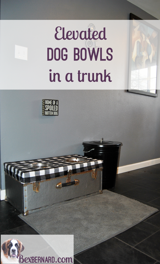 How to make an elevated dog feeder with food and water bowls in a trunk. Repurpose or recycle items for your large puppy. St. Bernard on www.bexbernard.com