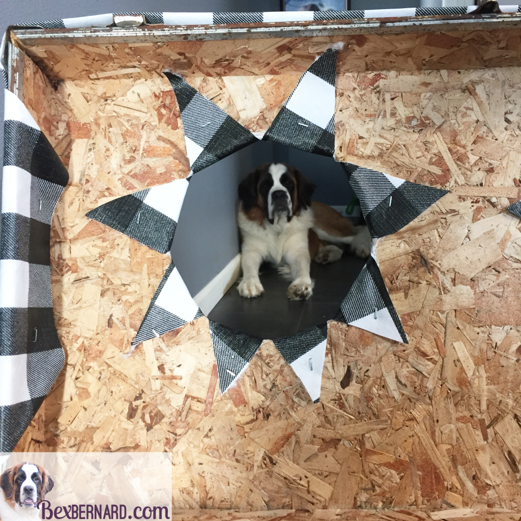 How to make an elevated dog feeder with food and water bowls in a trunk. Repurpose or recycle items for your large puppy. St. Bernard on www.bexbernard.com