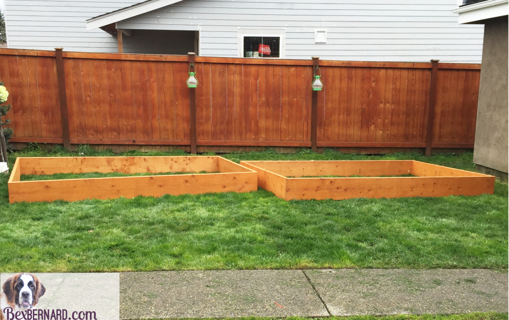 how to make a raised bed garden with wood | bexbernard.com a home blog