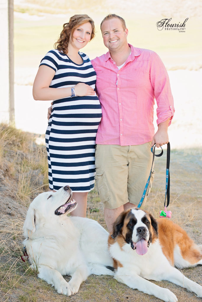Maternity photos with two dogs, St. Bernard and Great Pyrenees. | bexbernard.com
