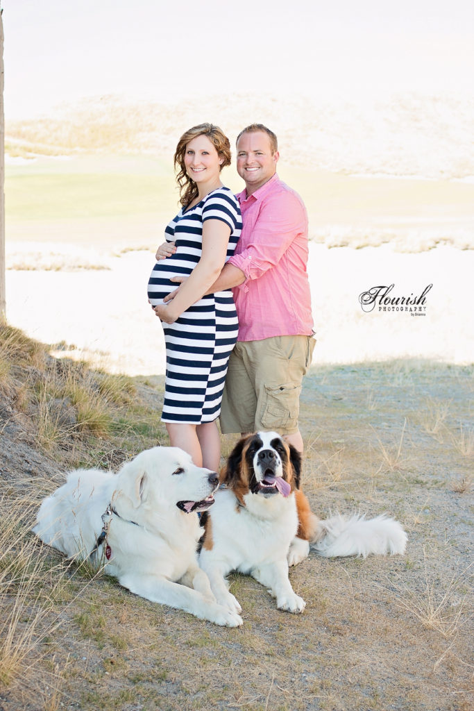 Maternity photos with two dogs, St. Bernard and Great Pyrenees. | bexbernard.com