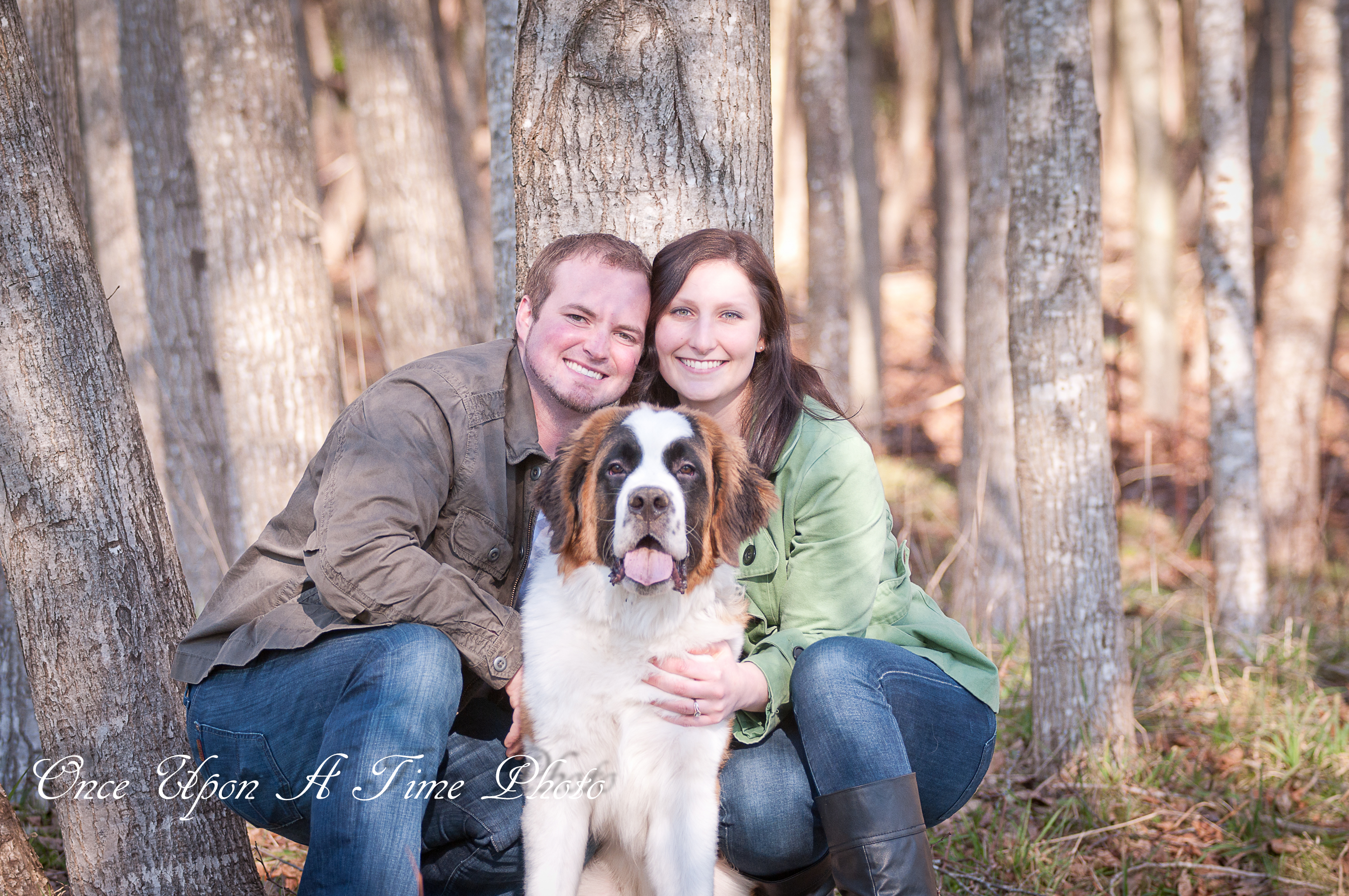 St. Bernard Dog Engagement Photos in country woods